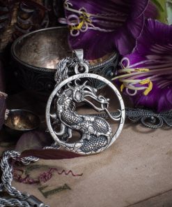 Mortal Kombat medallion