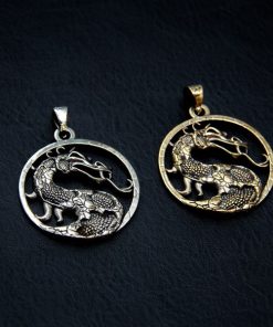 Alternative view of Mortal Kombat medallion