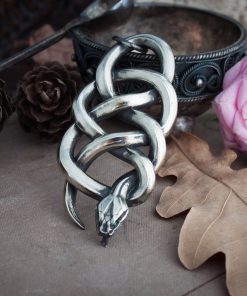 Viper school medallion