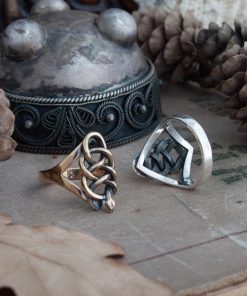 Alternative view of School of the viper ring