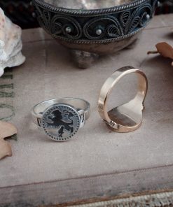 Alternative view of Leo Ring