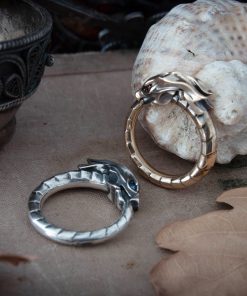 Alternative view of Ouroboros ring