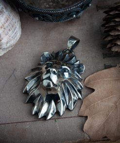 Alternative view of Lion head medallion, school of the Lion