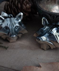 Racoon medallion, school of the racoon