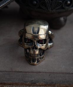 Alternative view of Terminator ring