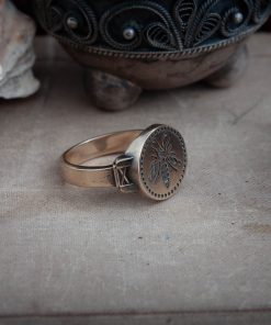 Alternative view of Hornet Ring