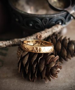 Alternative view of Nathan Drake's ring