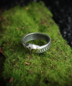 Alternative view of Ring of the Sacred Owl