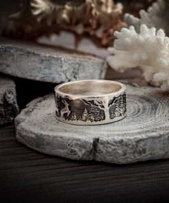 Alternative view of Northern Forest Ring