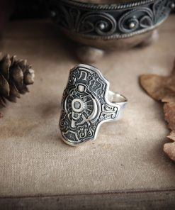 Alternative view of Protection ring